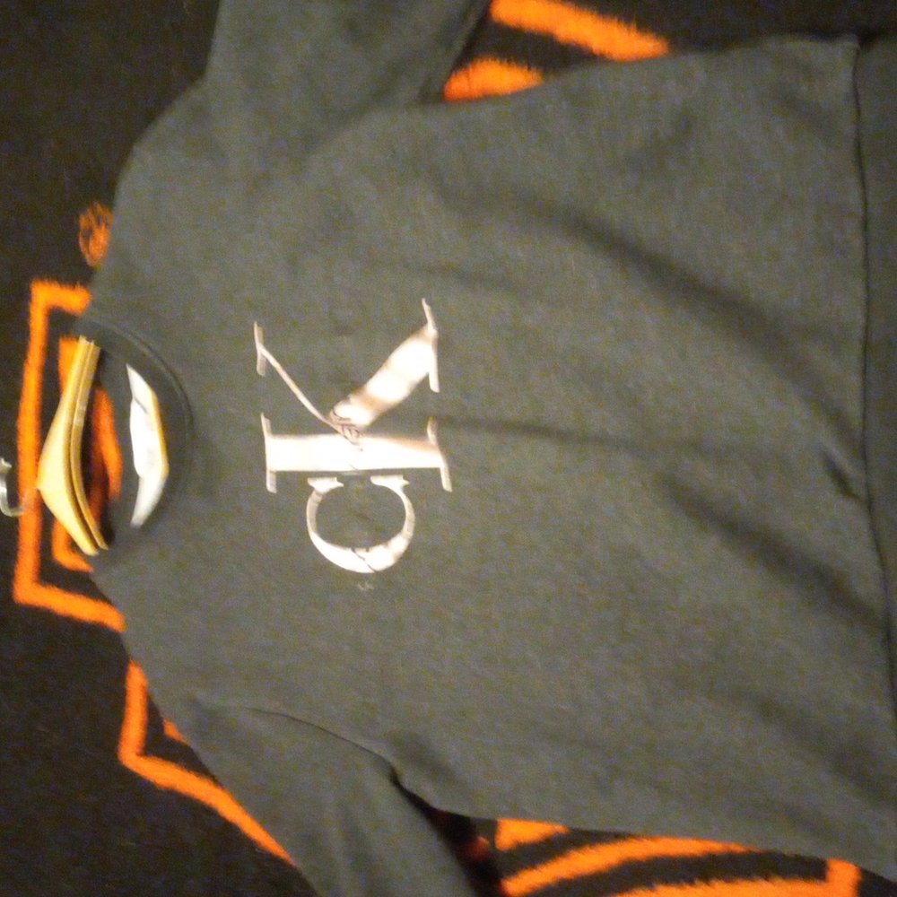 Mens sweatshirt